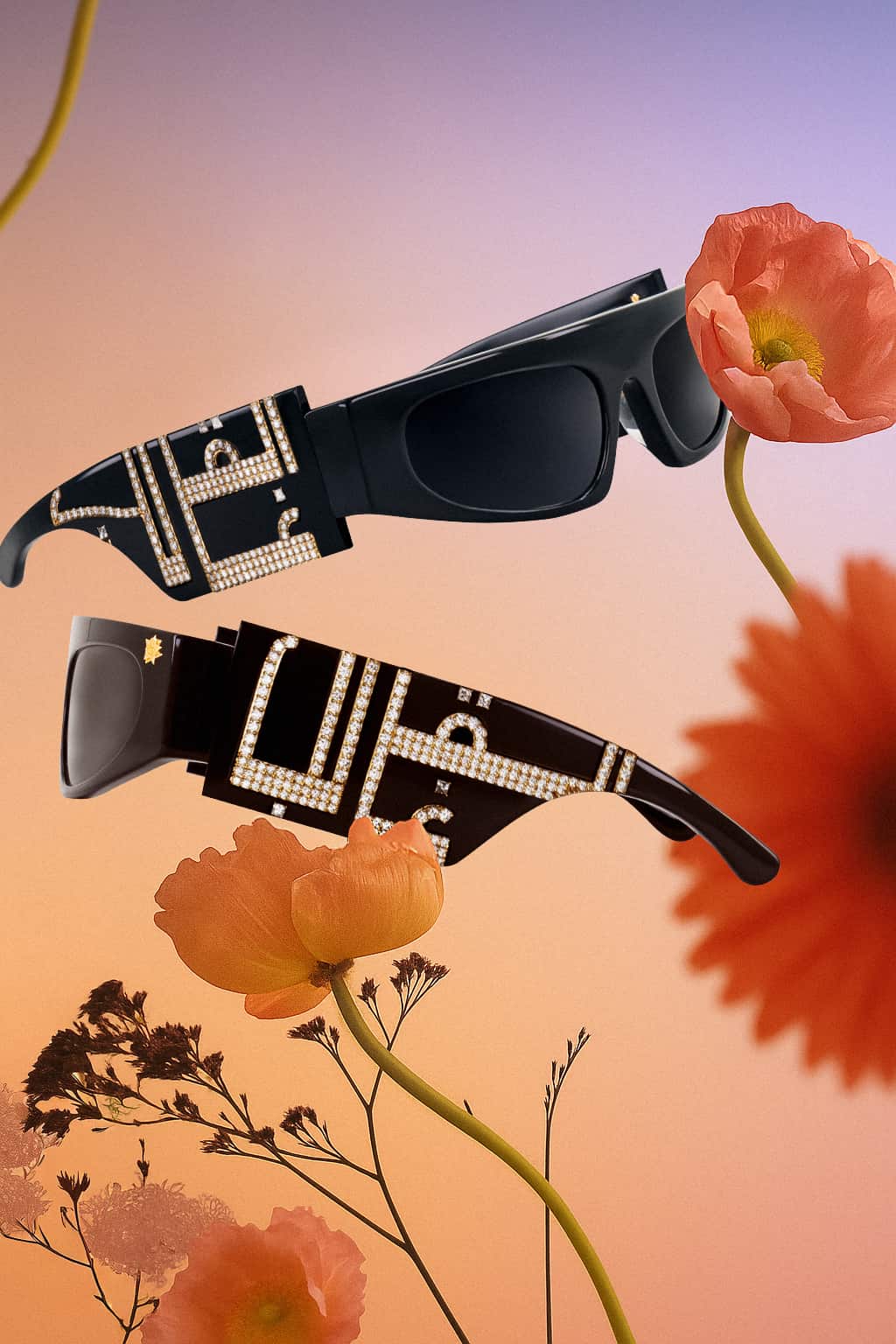 HG x IRAM: The Crowned Shades